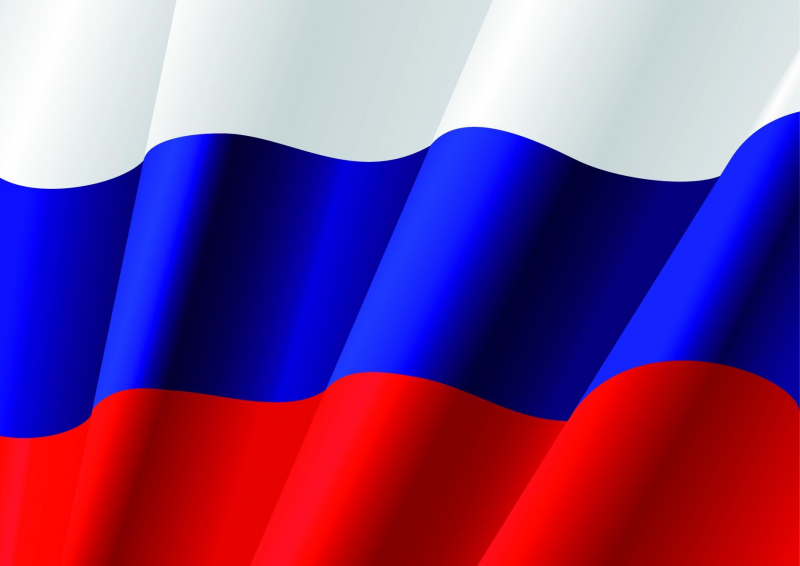 v novgorodskoj oblasti vozbudili delo protiv razorvavshikh polotnishche rossijskogo flaga