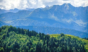 Rosa Khutor Peshije tropy